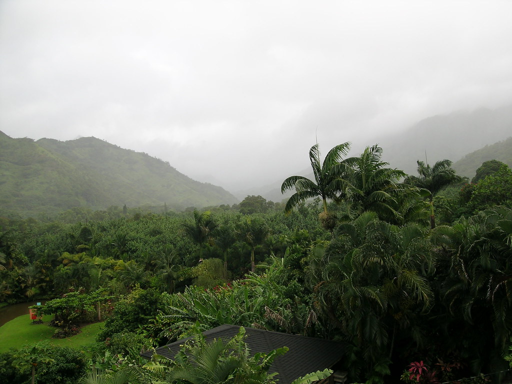 Kauai Rain