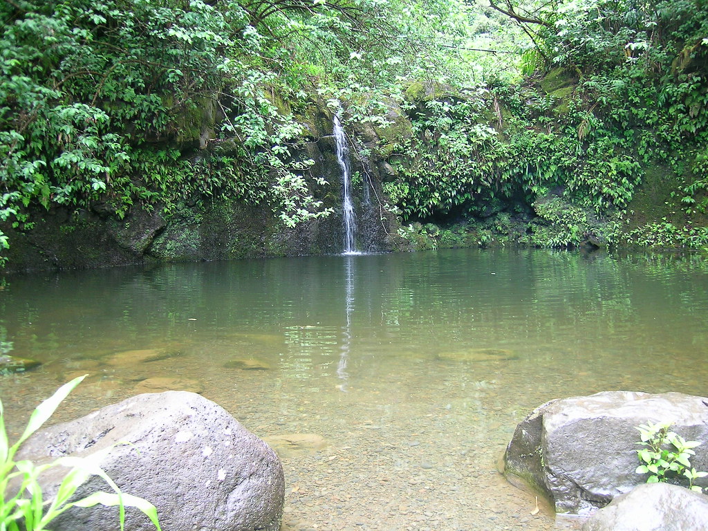 Falls on the Road to Hana