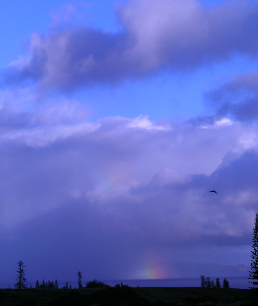 Morning Rainbow II
