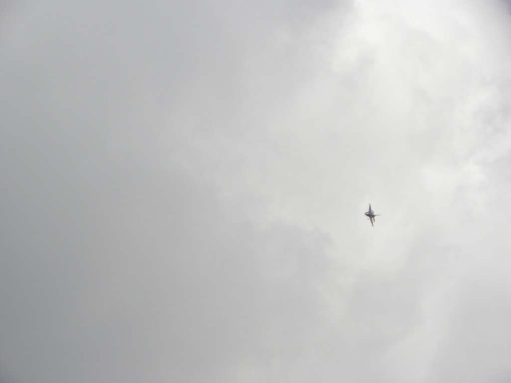 Dscn0561